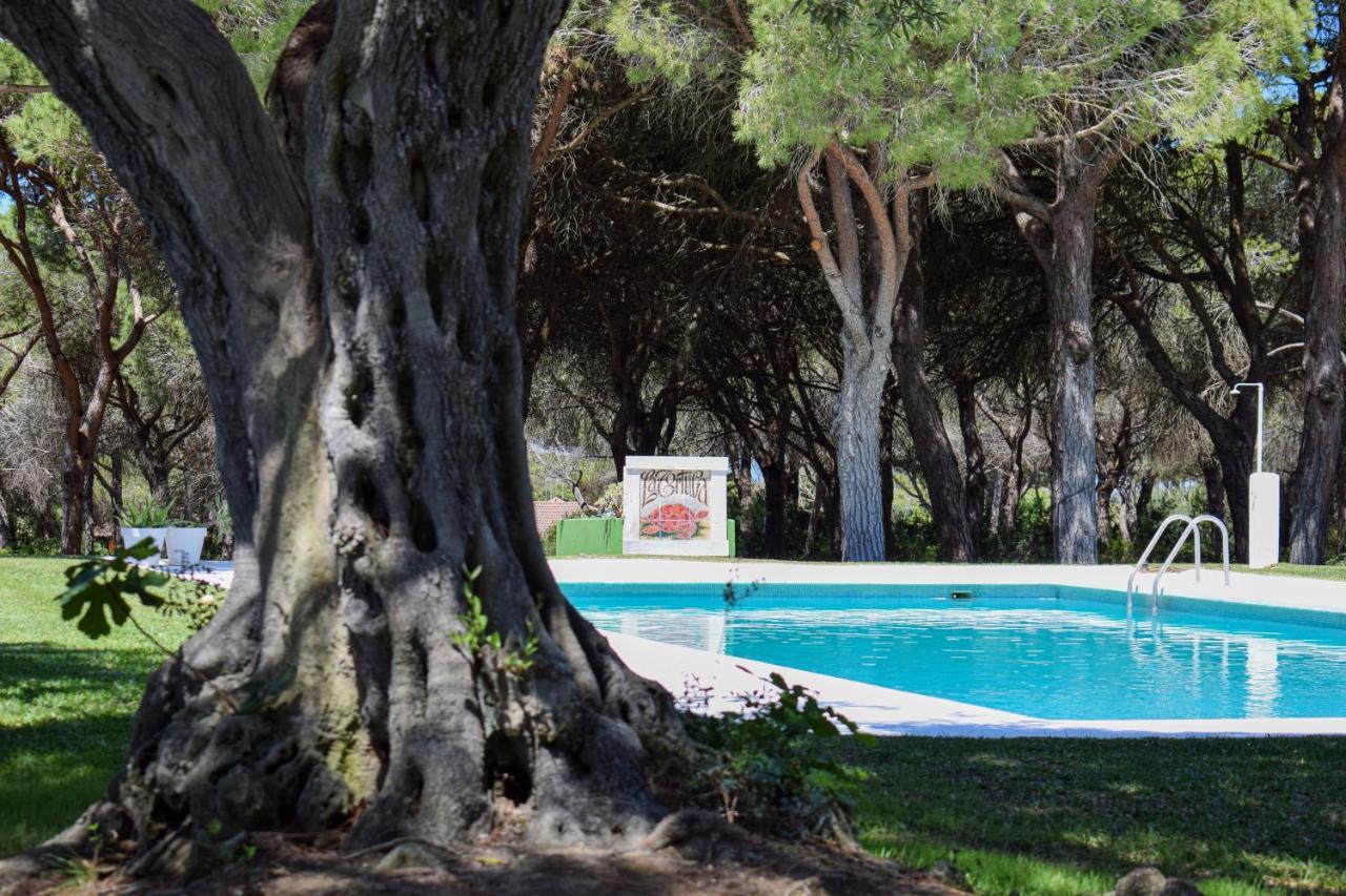 Alojamientos La Tortuga Chiclana de la Frontera Exterior foto